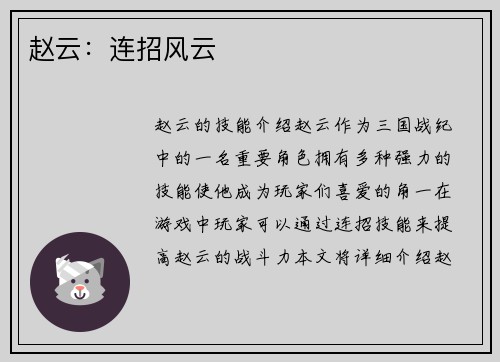 赵云：连招风云